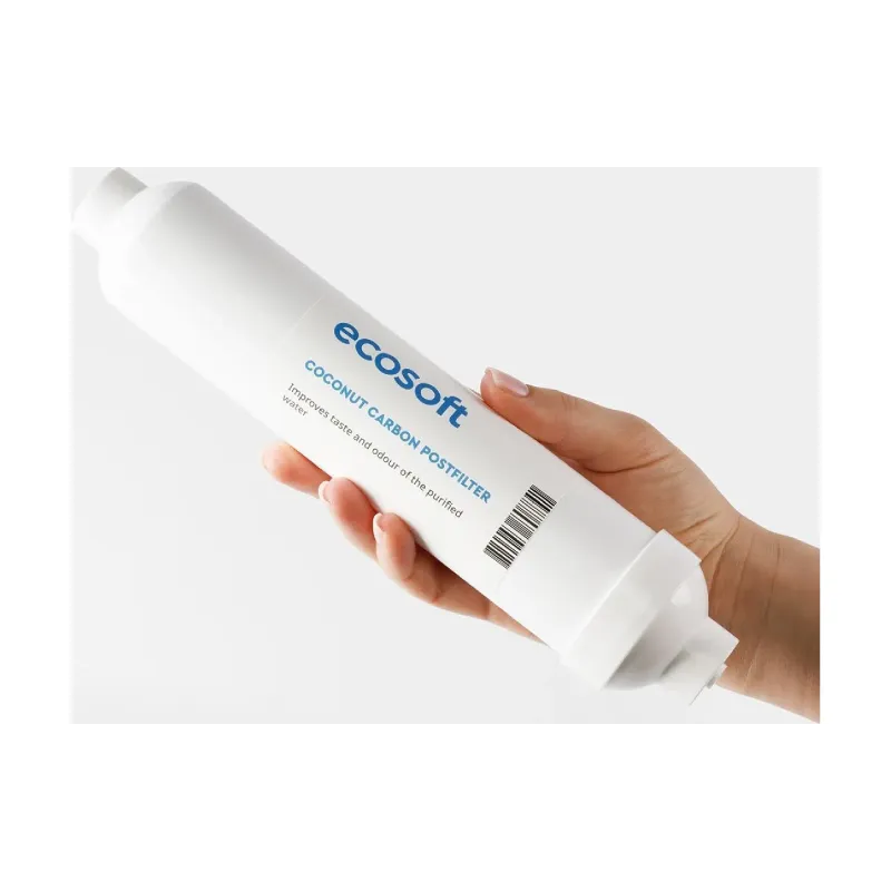 Постфільтр для води Ecosoft (CHV2010ECOPKG+CPV3COSTD)
