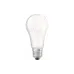 Zamrzovalnik Snaige, White (F16ISM-TT000EH)