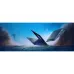 Prenosnik Acer Predator Helios Neo 16S AI PHN16S-I51, Black (NH.U3TEU.003)