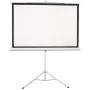 Screen on a tripod 2E 120"  (0043120T)