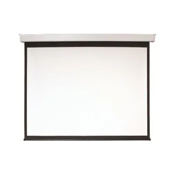 Motorized screen 2E 200"  (0043200E)