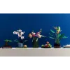Konstruktor LEGO Icons Orchid (10311-)