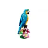 Konstruktor LEGO Creator 3-in-1 Exotic Parrot (31136)