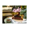 Konstruktor LEGO Icons Bonsai (10281-)