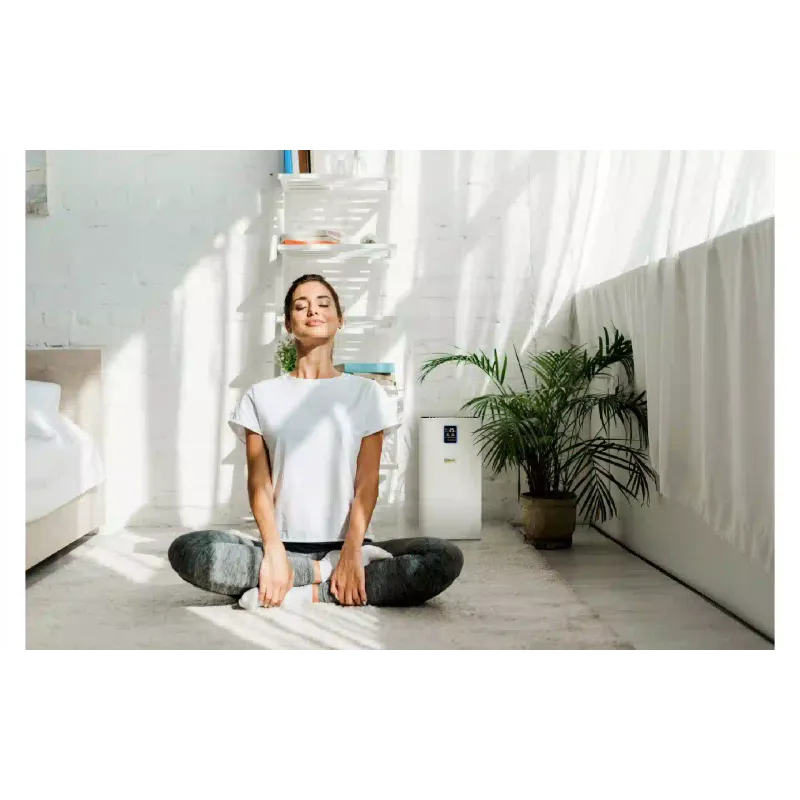 Luftreiniger Karcher AF 30, White (1.024-821.0)