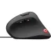 الفأر Trust GXT-144 (22991_TRUST)