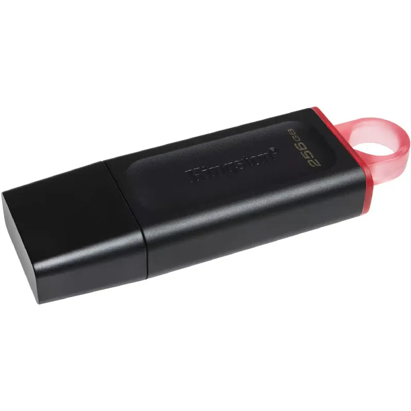unidade USB Kingston, Black (DTX/256GB)