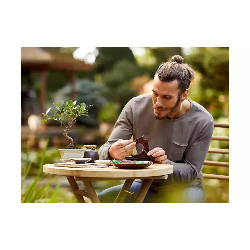 Konstruktor LEGO Icons Bonsai (10281-)