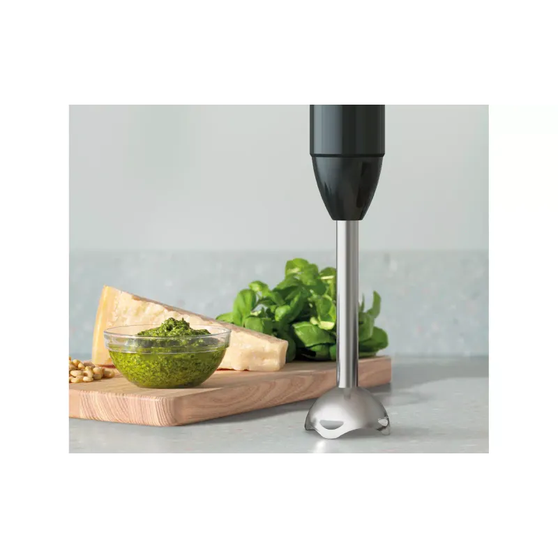 Hand blender Electrolux (E4HB1-6GG)