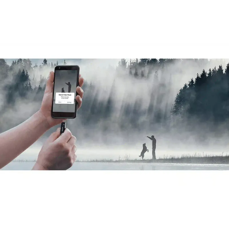 USB устройство Sandisk, Black (SDDDC3-064G-G46)