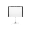 Screen on a tripod 2E 120"  (0043120T)