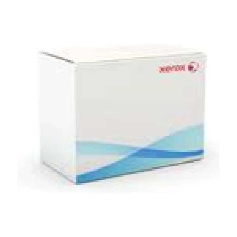 Φυσίγγιο Xerox, Black (013R00670)