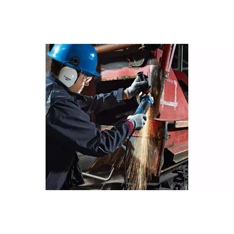 Шлифовъчна машина Bosch GWS 19-125 CIE (0.601.79P.002)