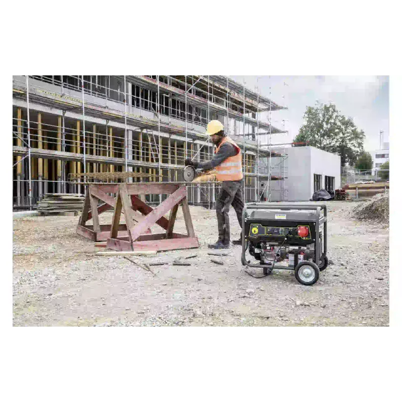 Генератор бензиновый Karcher, 5.5 кВт, 1 фаза, АВР, электростартер (1.042-208.0)