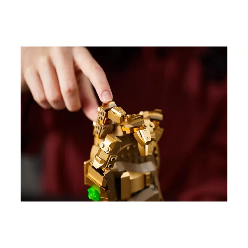 Конструктор LEGO Super Heroes  (76191)