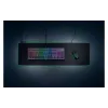 Playing surface Razer, Black (RZ02-02500300-R3M1)