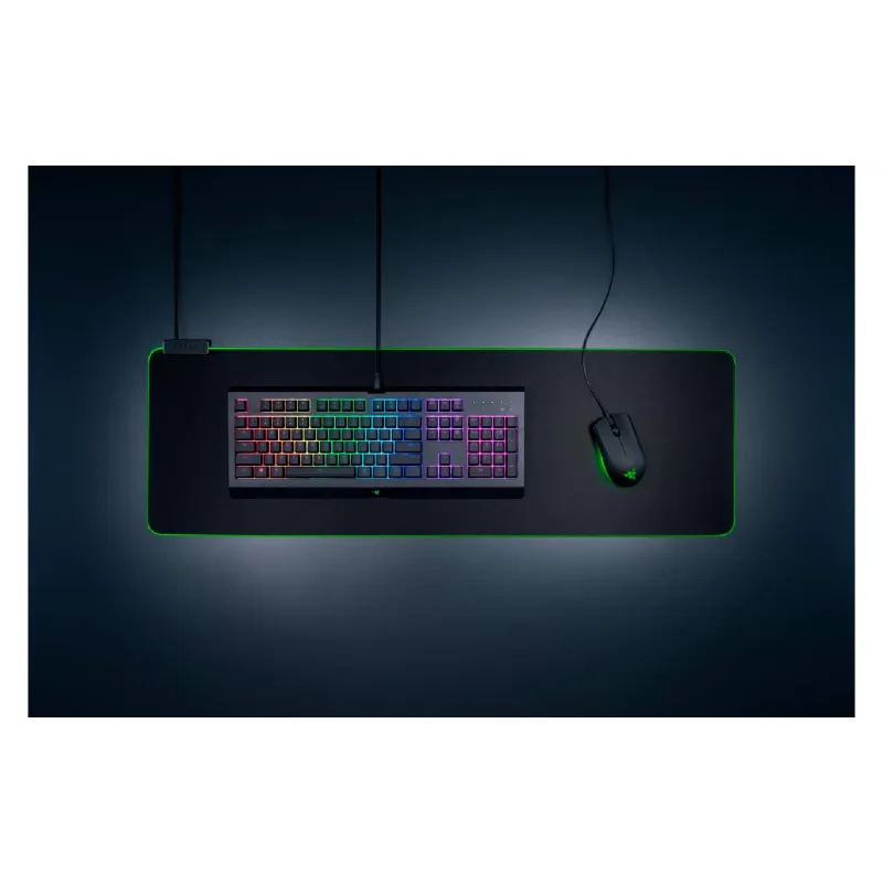 Playing surface Razer, Black (RZ02-02500300-R3M1)