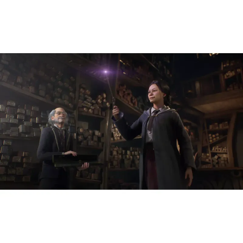 لعبة Games Software Hogwarts Legacy Deluxe Edition (5051895415412)