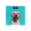 Ζυγαριές δαπέδου Ardesto (SCB-965DOG)