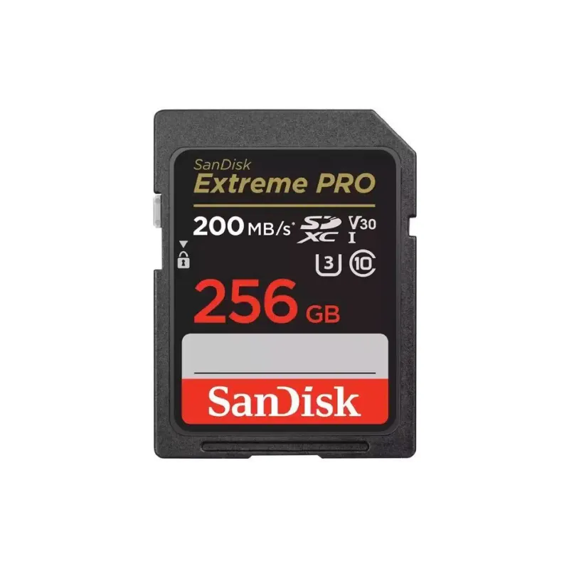 Карта памяти Sandisk 256Gb (SDSDXXD-256G-GN4IN)