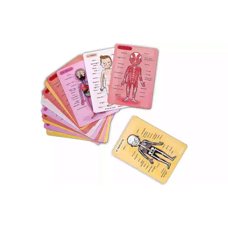 Μαγνητικό σετ Janod (J05491)