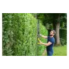 Ножица за жив плет Ryobi ONE+ RY18HT55A-0 (5133004909)