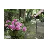 خرطوم الري Karcher (2.645-325.0)