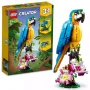Constructor LEGO Creator 3-in-1 Exotic Parrot (31136)