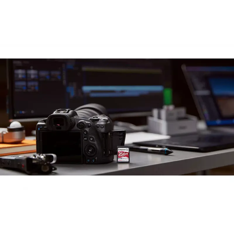 Speicherkarte Kingston (SDR2/256GB)