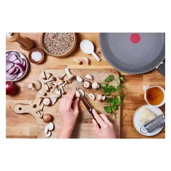 Pan Tefal Healthy Chef, Gray (G1500672)