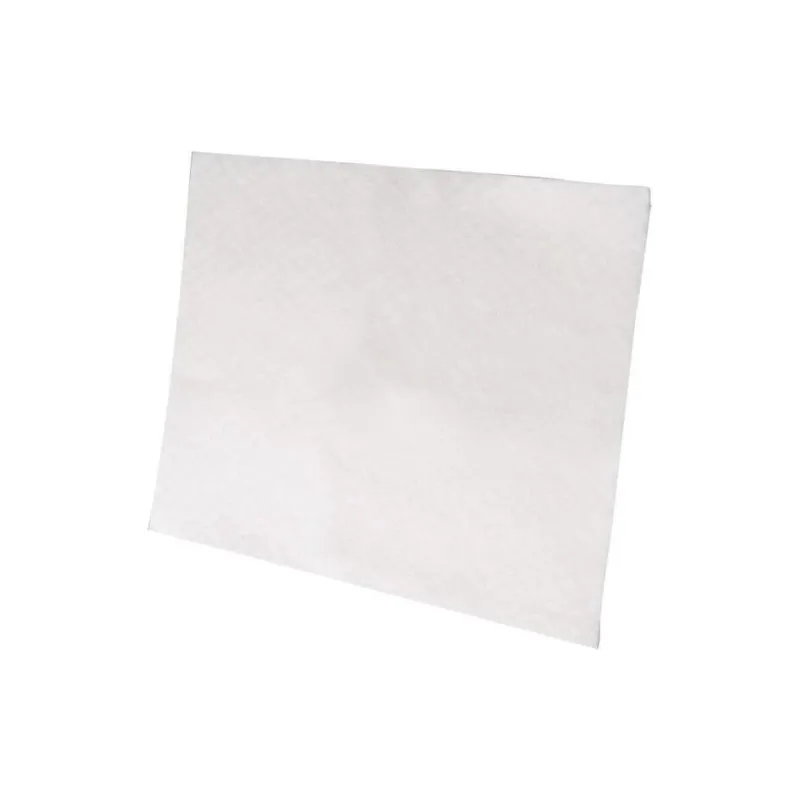 Filter sesalnika Electrolux (EF1)
