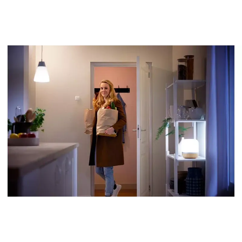 Mozgásérzékelő WiZ (929002422302)