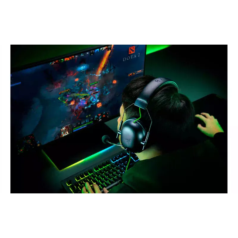 Fone de ouvido Razer, Black (RZ04-03240100-R3M1)