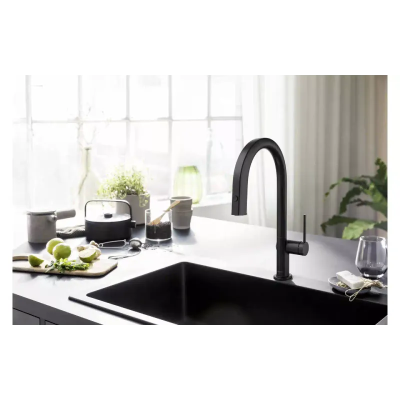 Смеситель для кухни Hansgrohe, Black (76803670)