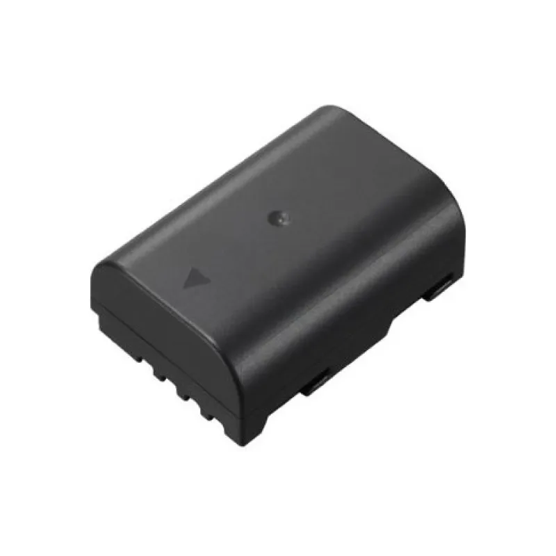 بطارية Panasonic (DMW-BLF19E)