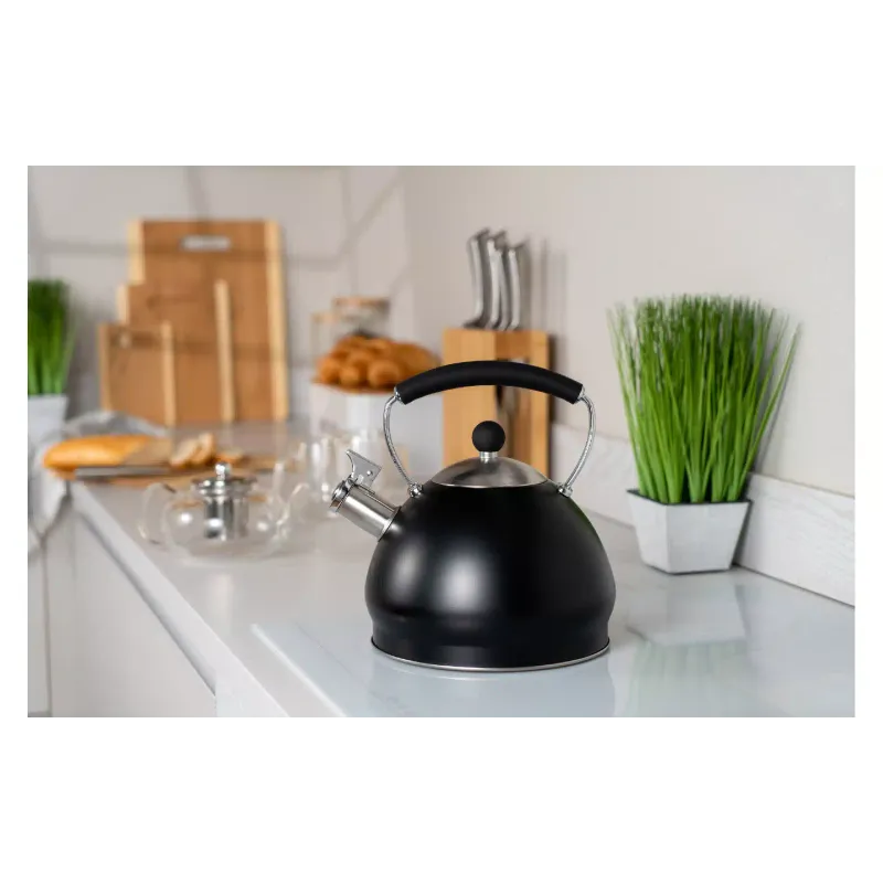 Kotliček Ardesto, Black (AR0748KS)