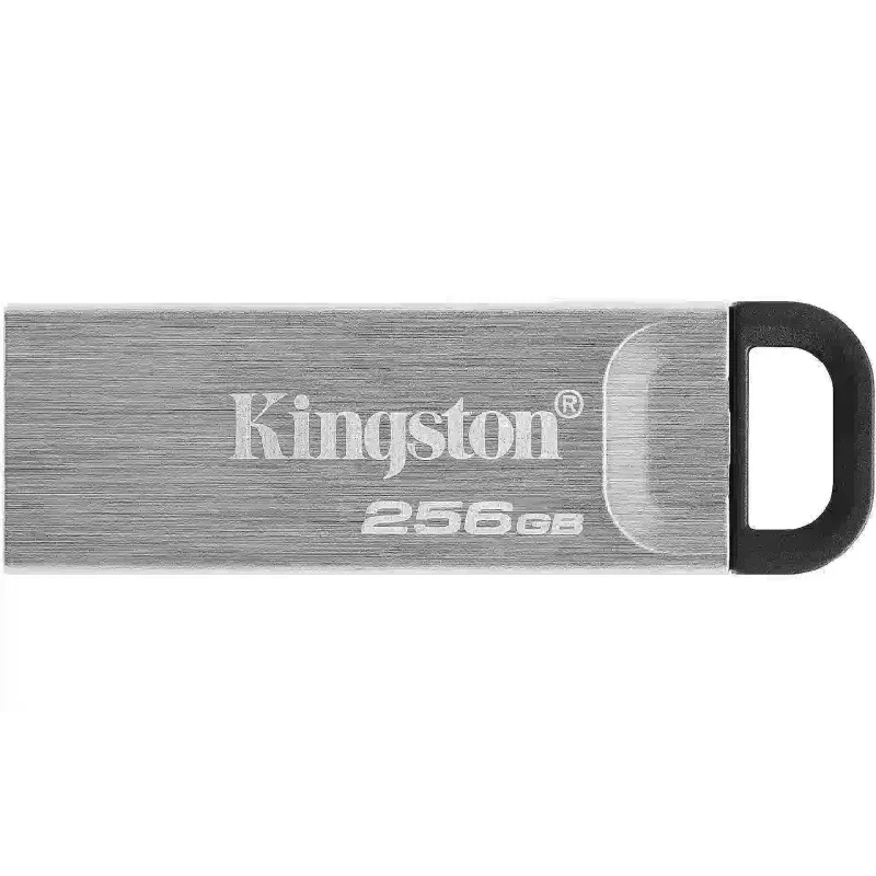 محرك أقراص USB Kingston (DTKN/256GB)
