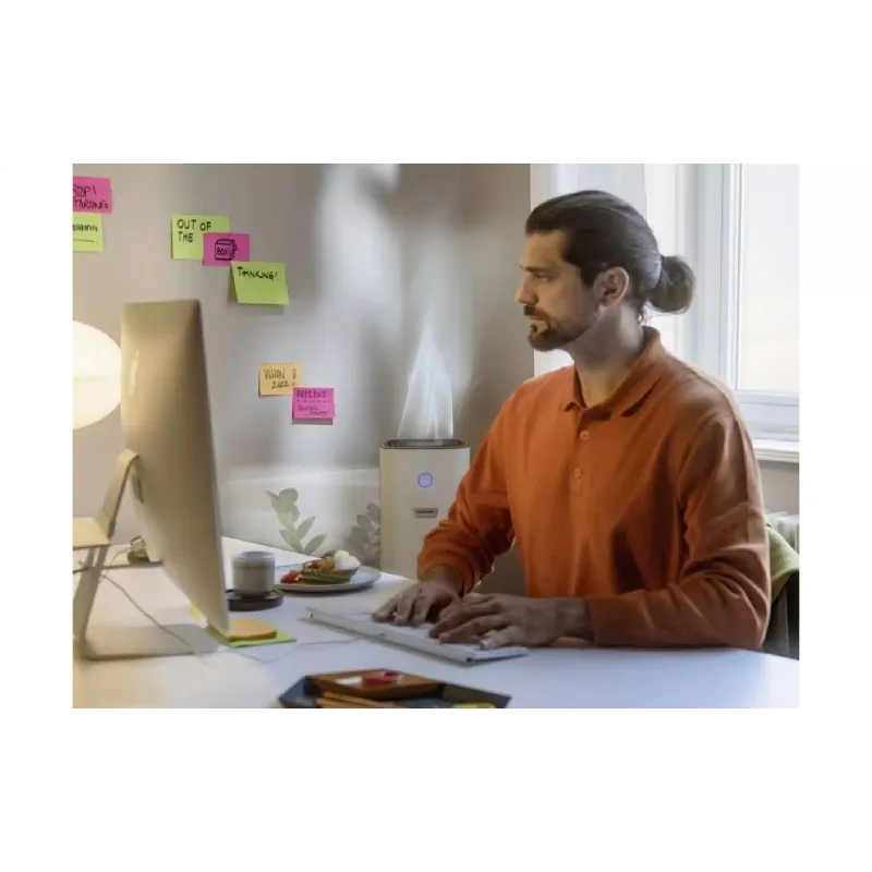 Luftreiniger Karcher AF 20, White (1.024-820.0)