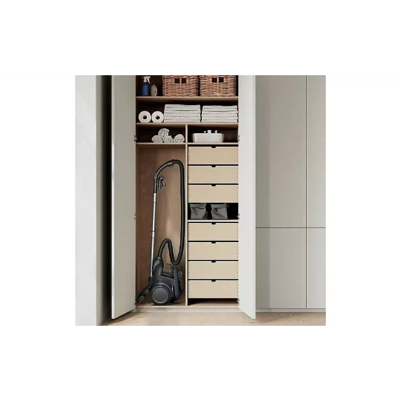 Vacuum cleaner Electrolux (EL61C3DB)