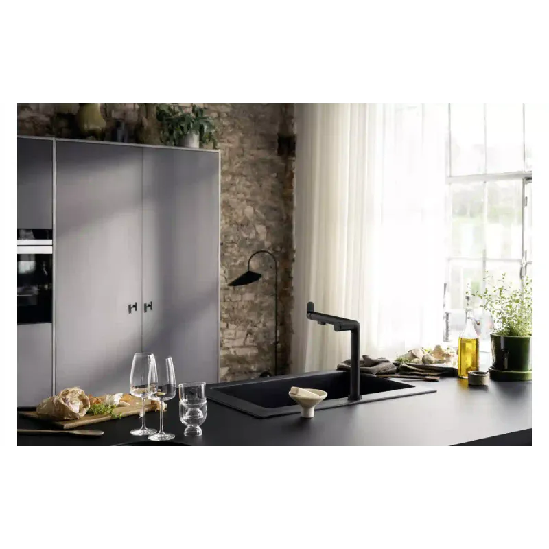 konyhai csaptelep Hansgrohe, Black (76804670)