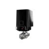 Ball valve Ajax, Black (000029716)