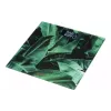 مقاييس الأرضية Ardesto, Multi-Collors (SCB-965LEAVES)