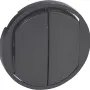 Painel frontal do interruptor Legrand (067902)