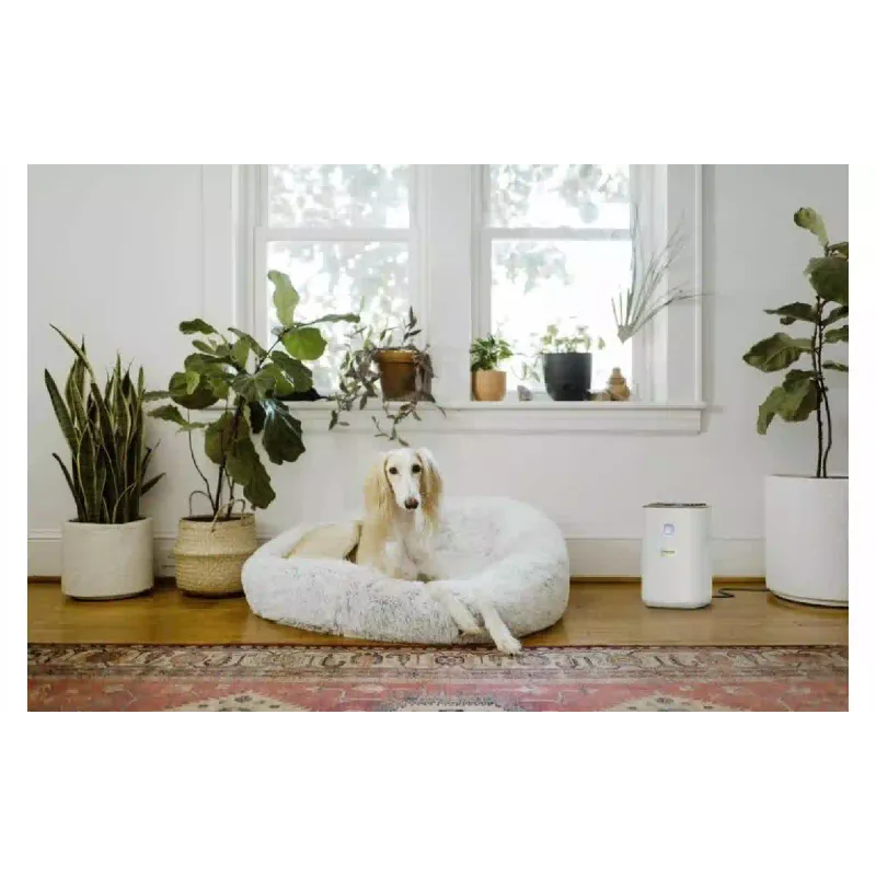 Luftreiniger Karcher AF 20, White (1.024-820.0)