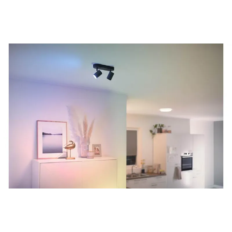 Lámpa WiZ, Black (929002659101)