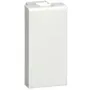 Plug Legrand, White (077070)