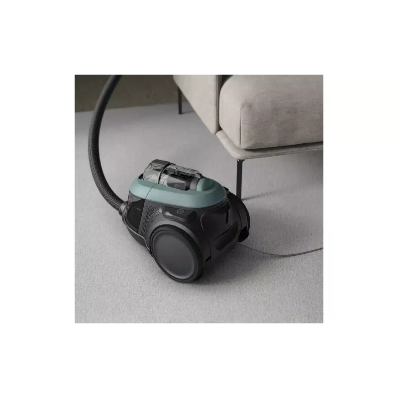 Aspirador de pó Electrolux, Green (EL61C2OG)