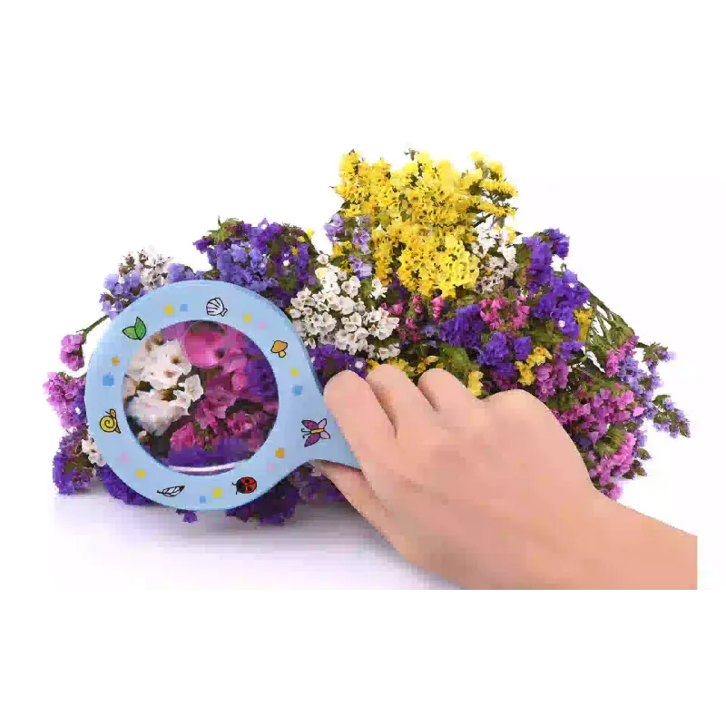 Збільшувальне скло goki (62958G-2), Blue