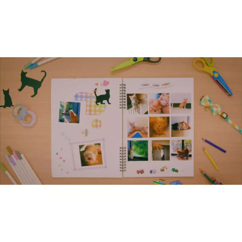 Комплект Canon XS-20L (4119C002)