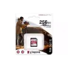 Speicherkarte Kingston (SDR2/256GB)